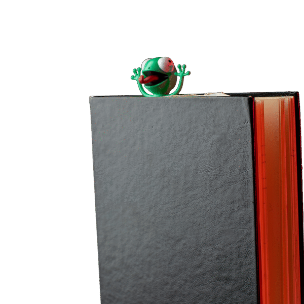 3 (1) Notebook divider Catch'em