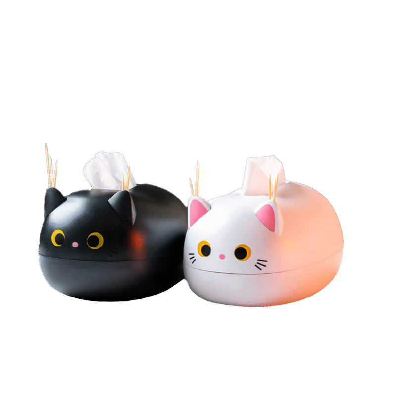 Cat Tissue and Tooth pick Boxes for couples